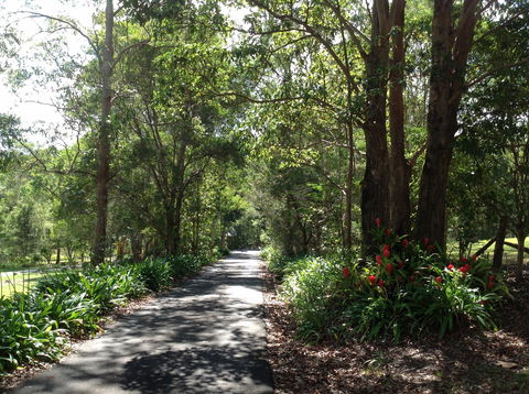Maleny Country Cottages - Kempsey Accommodation 8