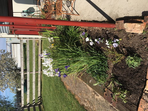 Fairview Bed And Breakfast Cottage - Kempsey Accommodation 2