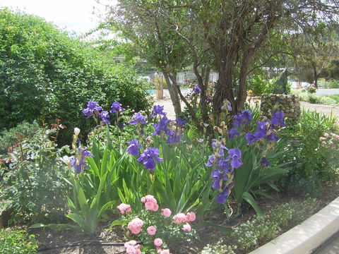 Garden Motor Inn (Golden Chain) - Kempsey Accommodation 7