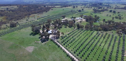 L'Oliveraie - Kempsey Accommodation 6