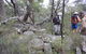 Rabbiters Hut - thumb 1