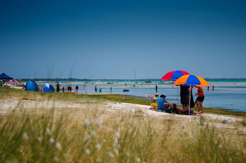 Rosebud Foreshore Camping - Kempsey Accommodation 0