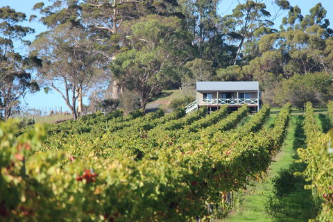 The Sleeping Lady Private Retreat - Kempsey Accommodation 1