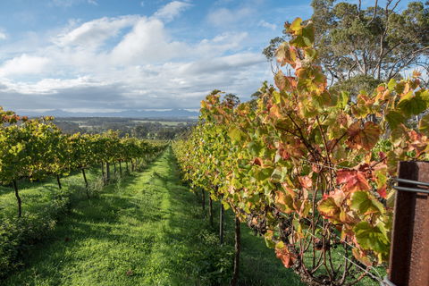The Sleeping Lady Private Retreat - Kempsey Accommodation 2