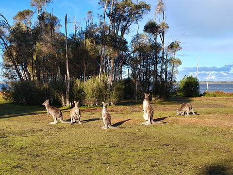 Waterfront Retreat At Wattle Point - Kempsey Accommodation 2