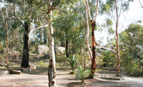 Bald Hill  Camp At Avon Valley National Park - Kempsey Accommodation 0