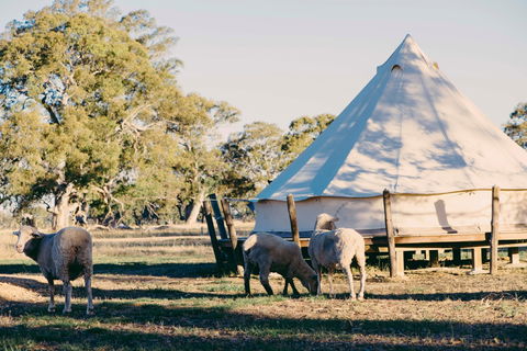 Bellwether Wines - Kempsey Accommodation 2