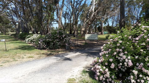 Camawald Coonawarra Cottage B&B - Kempsey Accommodation 0