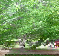 Hill End Holiday Ranch - Kempsey Accommodation