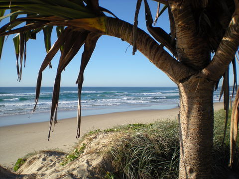 Horizons At Peregian - Kempsey Accommodation 0