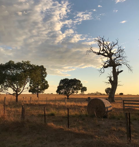 Rocklea Farm - Kempsey Accommodation 0