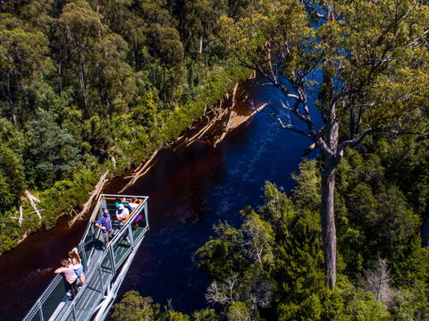 Tahune Adventures Tasmania - Lodge And Cabin - Kempsey Accommodation 1