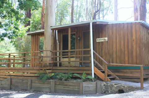 Tarra Valley Caravan Park - Kempsey Accommodation 1