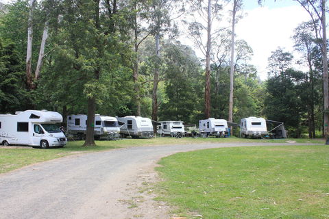 Tarra Valley Caravan Park - Kempsey Accommodation 2