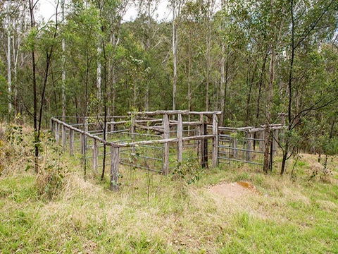 Blue Gums Campground - Kempsey Accommodation 1