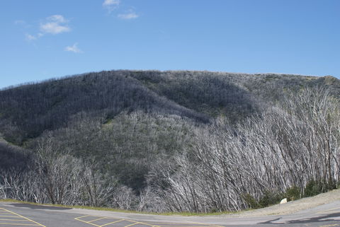 Gebi's Apartments - Kempsey Accommodation 2