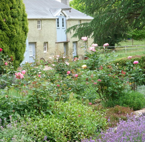 Godolphin Country Accommodation - Kempsey Accommodation 0