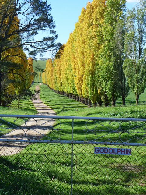 Godolphin Country Accommodation - Kempsey Accommodation 1
