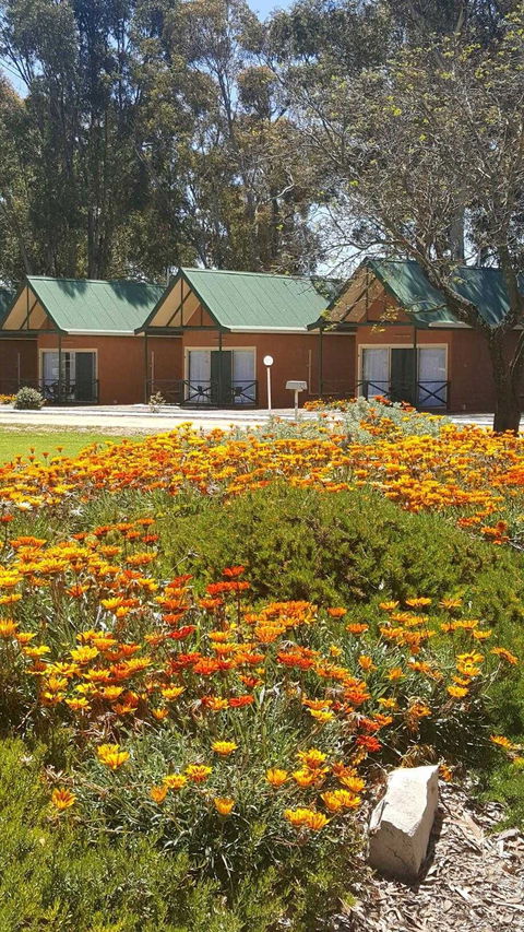 Jamestown Country Retreat Caravan Park - Kempsey Accommodation 1