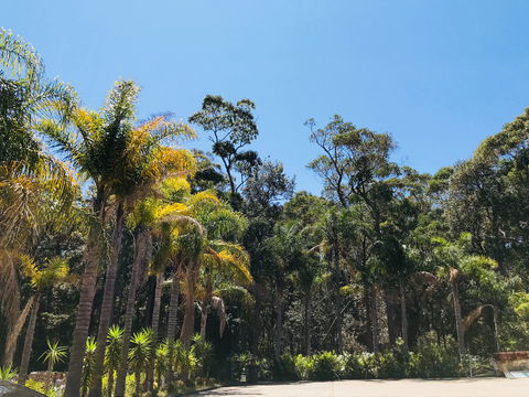 Mollymook Paradise Haven Apartment Motel - Kempsey Accommodation 2