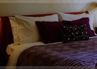 Erravilla Country Estate - Kempsey Accommodation 1