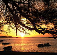 Pelican's Nest - Kempsey Accommodation