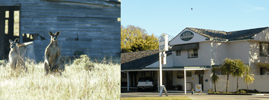 Acacia Motor Inn - Kempsey Accommodation 5