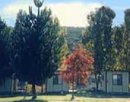 Anglers Reach Caravan Park - Kempsey Accommodation 0