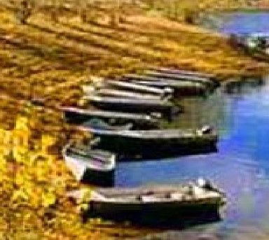 Anglers Reach Caravan Park - Kempsey Accommodation 2