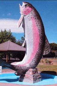 Anglers Reach Caravan Park - Kempsey Accommodation 3