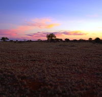 Wogarno Homestead - Kempsey Accommodation