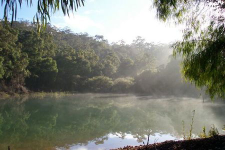 Karri Valley Chalets - Kempsey Accommodation 2