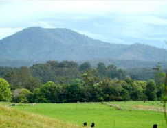 Bellingen Farmstay - Kempsey Accommodation 4