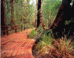 Coalmine Beach Holiday Park - Kempsey Accommodation 3
