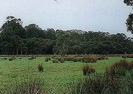 Bush Haven - Kempsey Accommodation 4