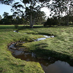 Bolganup Homestead - Kempsey Accommodation 3