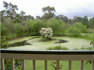 Moss Brook Bed And Breakfast - Kempsey Accommodation 1