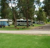 Harvey Rainbow Caravan Park - Kempsey Accommodation