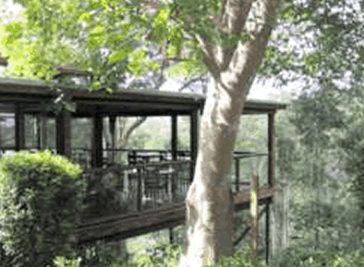 Watagan Lodge - Kempsey Accommodation 5