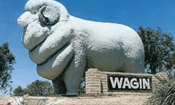 Wagin Motel - Kempsey Accommodation 0