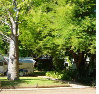 Town Caravan Park - Kempsey Accommodation