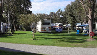 Pinjarra Caravan Park - Kempsey Accommodation 0