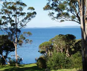 Denmark Waterfront - Kempsey Accommodation 4