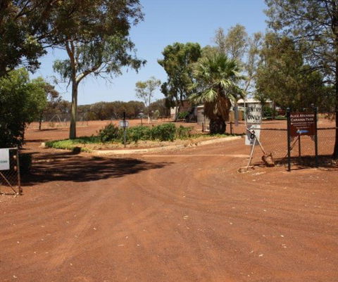 Alice Atkinson Caravan Park - Kempsey Accommodation 1