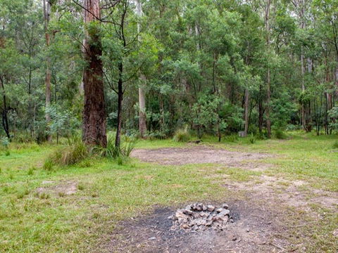 Blue Gum Flat Campground - Kempsey Accommodation 0