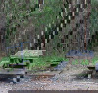Boundary Falls campground and picnic area - Kempsey Accommodation