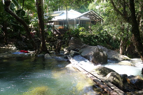 Daintree Secrets Rainforest Sanctuary - Kempsey Accommodation 2