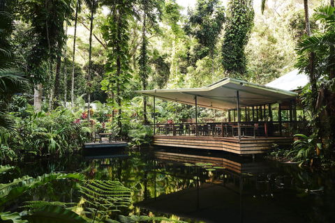 Daintree Ecolodge - Kempsey Accommodation 1