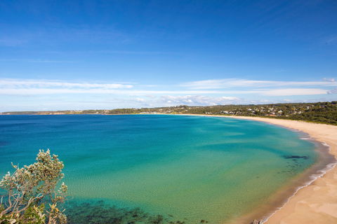 Footsteps To Mollymook Beach - Kempsey Accommodation 2