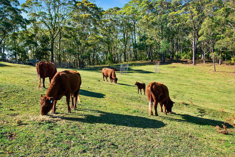 Gowan Ross Cottage - Kempsey Accommodation 1